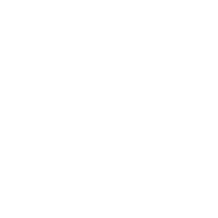 公司业务